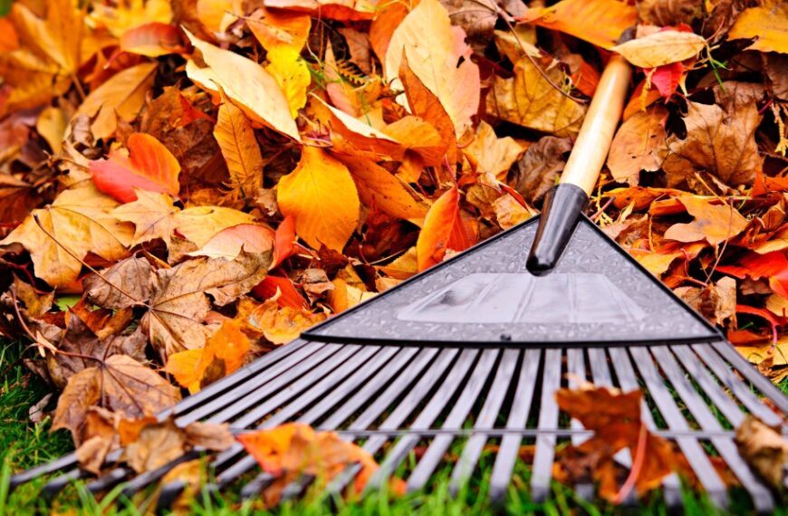 Cosa fare in giardino ad ottobre?