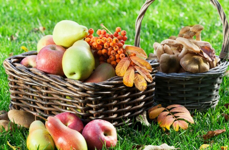 Cosa piantare nell'orto ad ottobre?