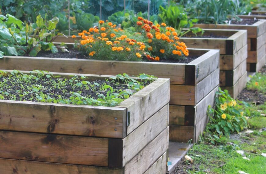 Come realizzare un orto rialzato utilizzando il pallet?