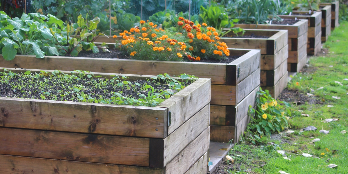 Come realizzare un orto rialzato utilizzando il pallet?