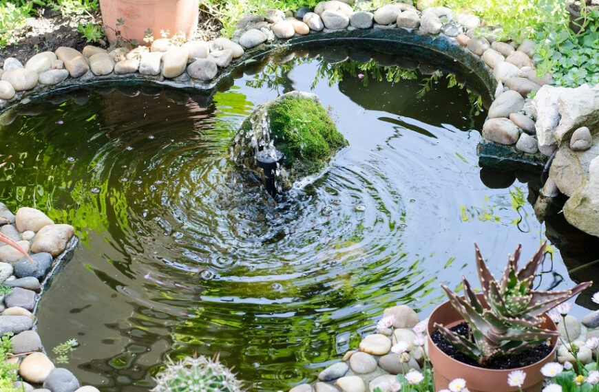 Consigli per il giardino: come creare un giardino acquatico e attirare la vita per uno spazio zen