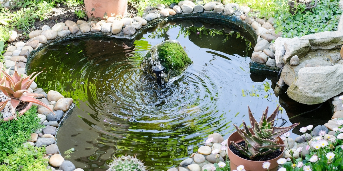 Consigli per il giardino: come creare un giardino acquatico e attirare la vita per uno spazio zen