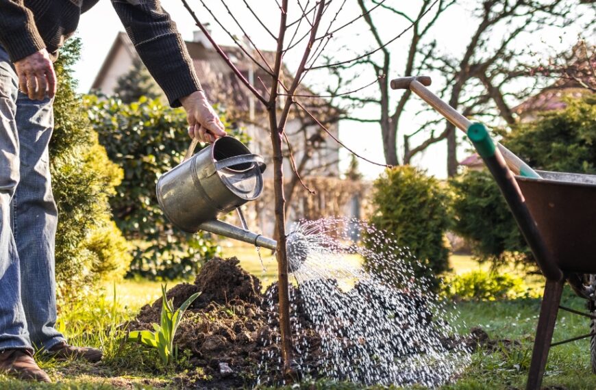 Acqua a ottobre: quando, come, quanta?