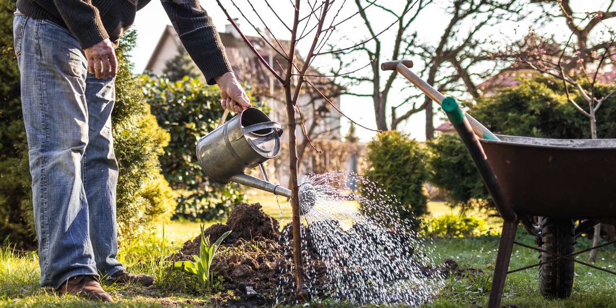 Acqua a ottobre: quando, come, quanta?