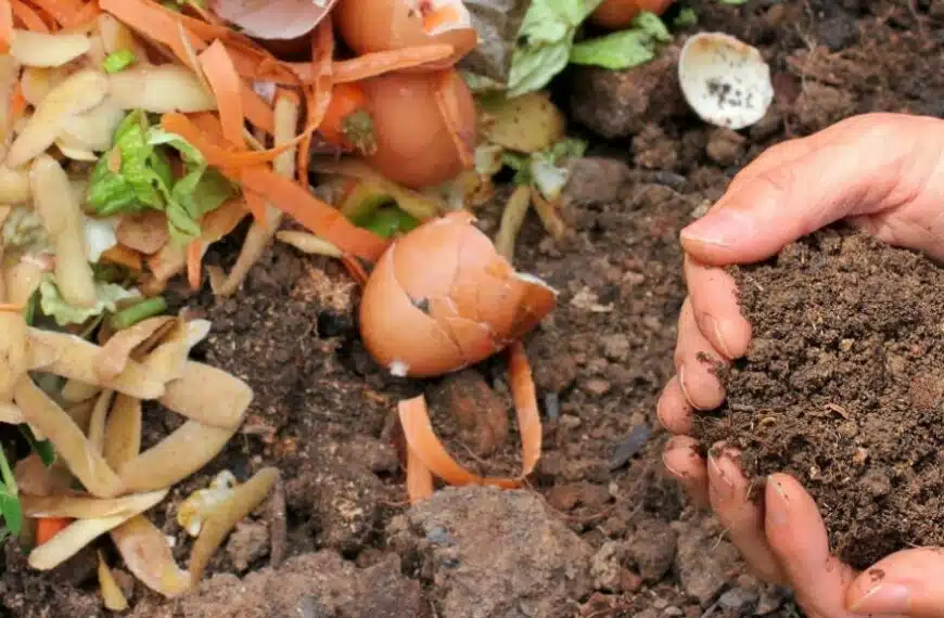 L’autunno è la stagione migliore per preparare il compost!