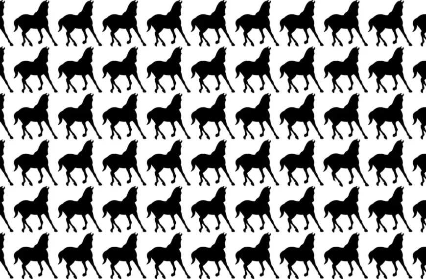 Allarme per gli occhi acuti Trovare il Cavallo Strano nascosto in 12 secondi
