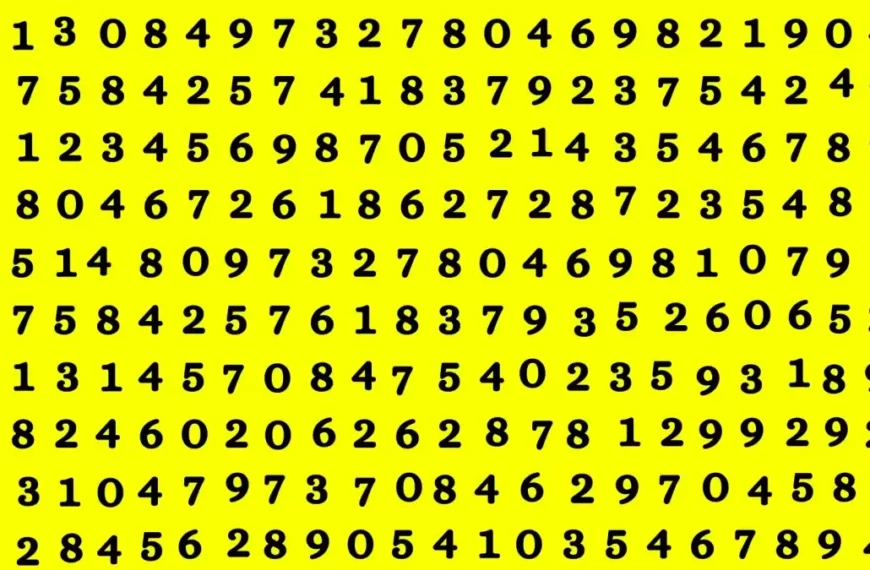 Allarme per gli occhi di aquila che trovano il numero nascosto 7457 in soli 12 secondi