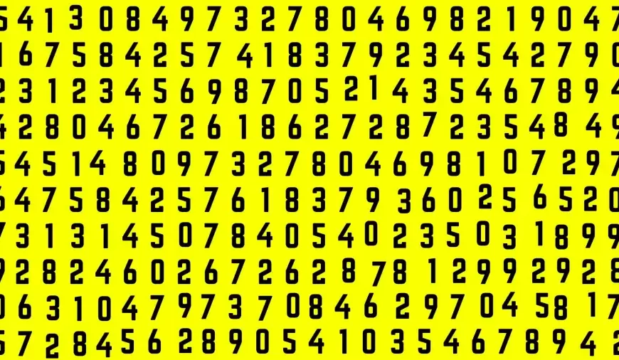 Avete la vista a raggi X se riuscite a individuare il numero 22 in 15 secondi.