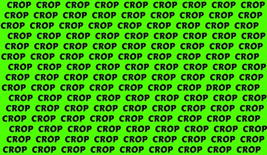 Avete un cervello acuto? Trova la parola “drop” in soli 10 secondi