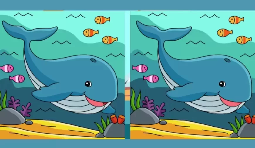 Gioco dell’illusione ottica per individuare la differenza: Se hai gli occhi acuti trovi le 3 differenze tra due immagini entro 15 secondi?
