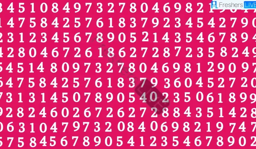 Hai la vista a raggi X se riesci a individuare il numero 342 in meno di 10 secondi.