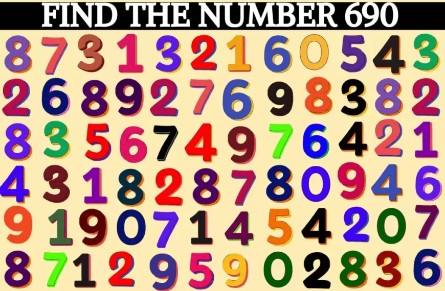 Illusione ottica Trova e cerca: Se hai gli occhi extra-acuti trova il numero 690 in 14 secondi