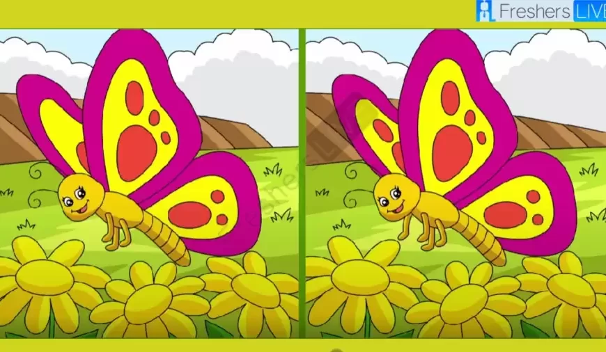 Individuate le 3 differenze nelle immagini delle farfalle – Mettete alla prova le vostre capacità di osservazione!