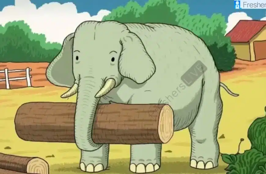 Potete aiutare l’elefante a trovare il suo amico in 10 secondi?