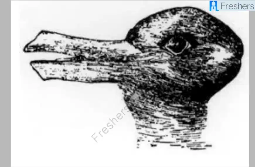 Riesci a trovare il coniglio nascosto in questa immagine entro 10 secondi? Solo le persone con l’occhio dell’aquila possono trovarlo