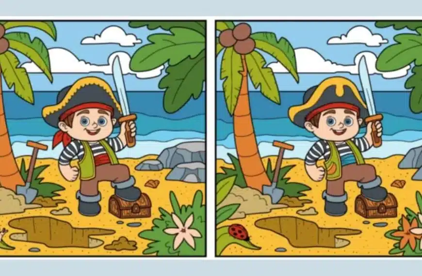 Solo chi ha gli occhi acuti può trovare le 12 differenze tra le immagini del ragazzo pirata in 35 secondi!