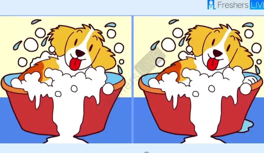 Solo gli occhi extra-acuti sono in grado di individuare 3 differenze nelle immagini dei cani in 15 secondi.