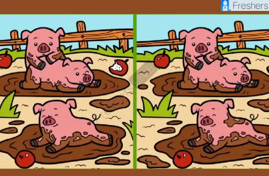 Solo gli occhi più acuti possono individuare le 3 differenze nell’immagine del maiale entro 12 secondi.