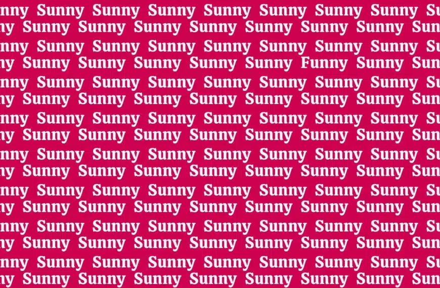 Solo gli occhi più acuti possono trovare la parola Funny tra Sunny in 15 secondi