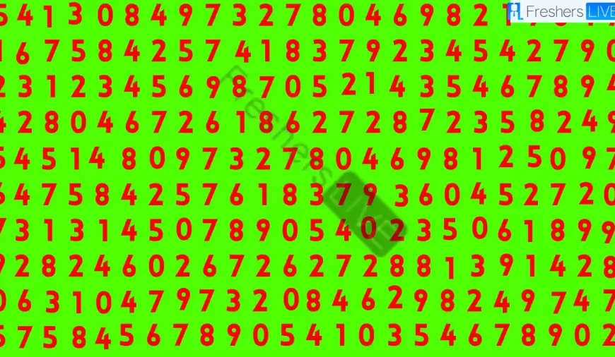 Solo i cervelli dei detective possono individuare il numero 4455 in soli 12 secondi