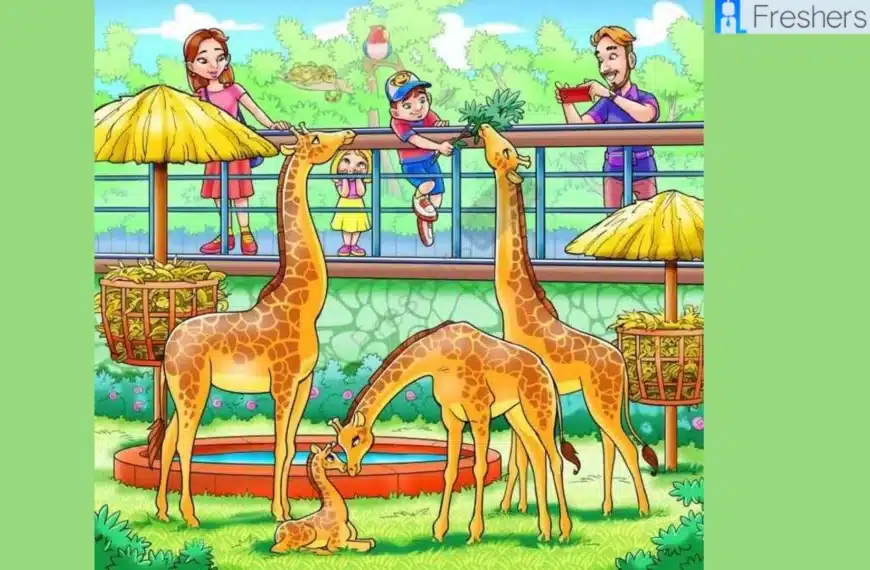 Solo il 5% riesce a individuare una scimmia nascosta nell’immagine dello zoo in meno di 6 secondi!