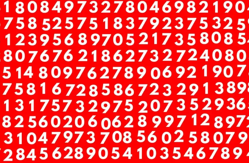 Test cerebrale di illusione ottica: se hai una vista 20/20 trova il numero 9220 in 20 secondi