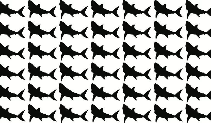 Test di riflessione: Riesci a individuare il pesce strano in 10 secondi?