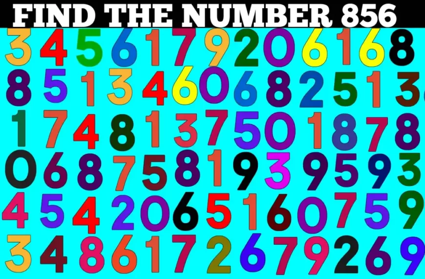 Test visivo dell’illusione ottica: se avete occhi acuti trovate il numero 856 in 15 secondi