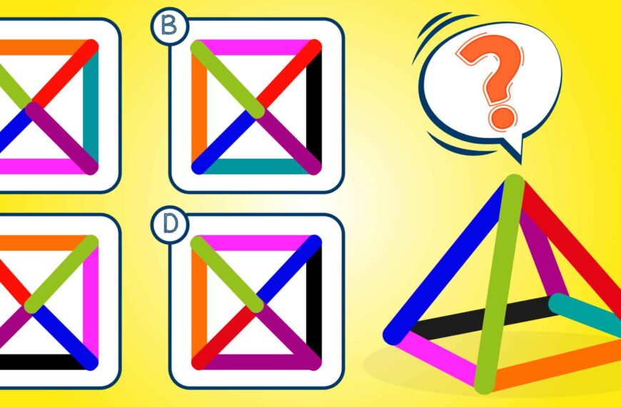 Test visivo: saresti in grado di identificare come appare la piramide dall'alto?