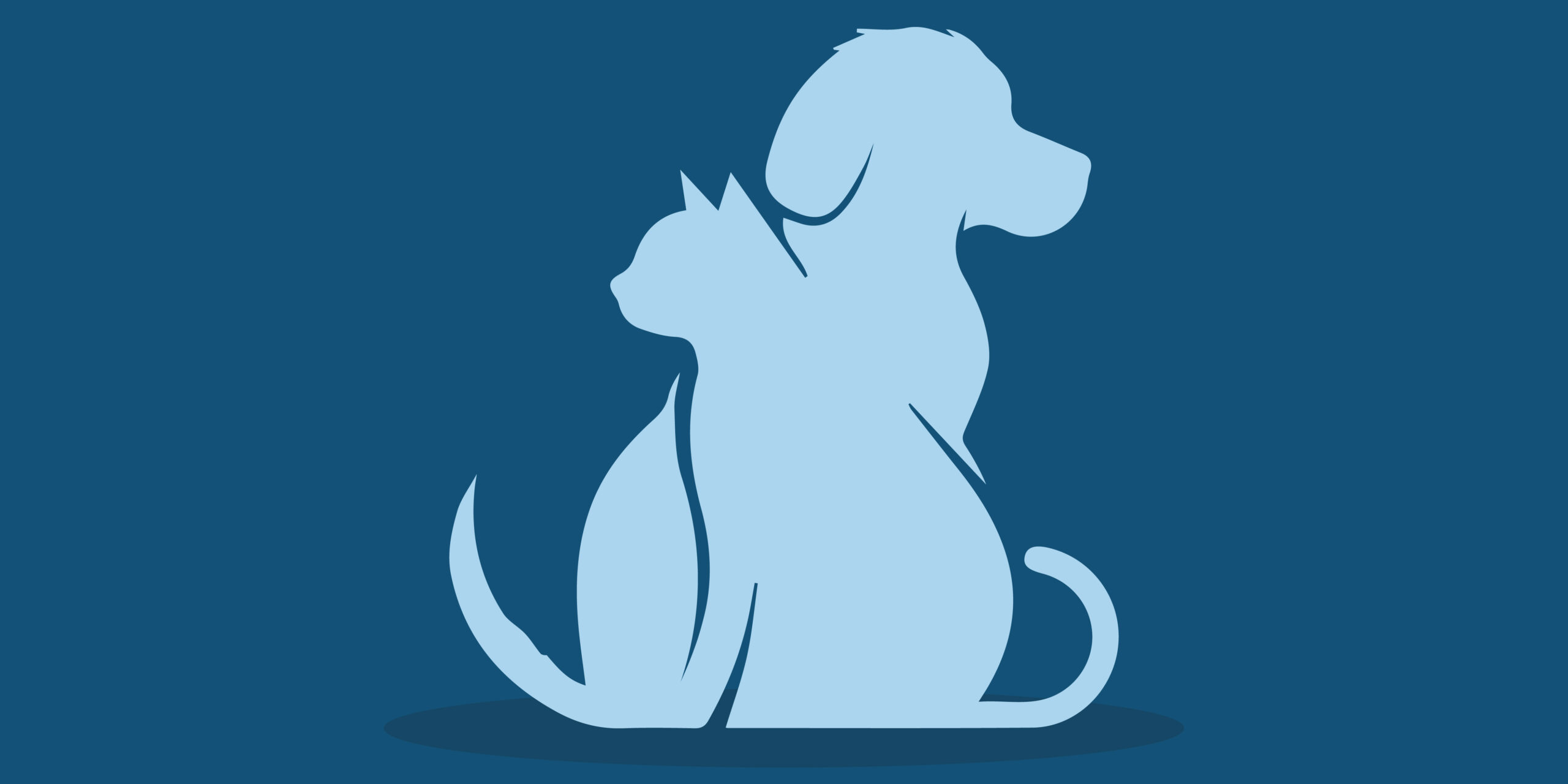 Test della personalità: sei una persona d'azione o più un pensatore? Fai questo test per scoprirlo.