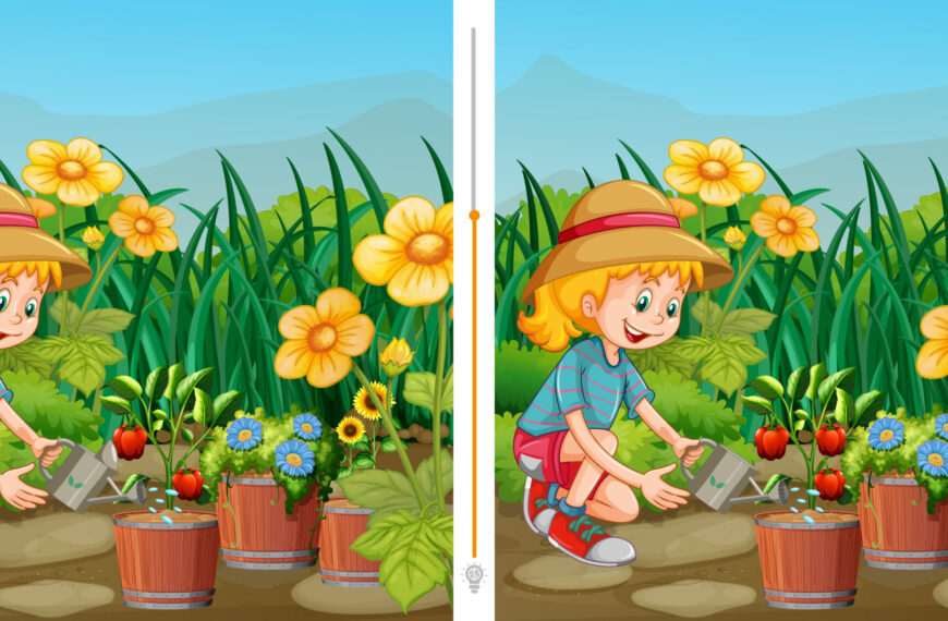Gioco Trova le differenze: trova le differenze in queste immagini in meno di 30 secondi!