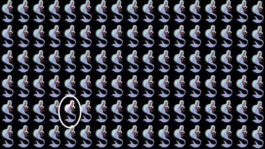 Sfida all'illusione ottica: se hai occhi d'aquila, trova la strana sirena in 15 secondi
