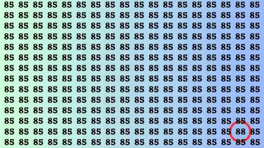 Test cerebrale di illusione ottica: se avete occhi d'aquila, trovate il numero 88 in 15 secondi Test di illusione ottica del cervello: se hai gli occhi dell'aquila, trova il numero 88 in 15 secondi