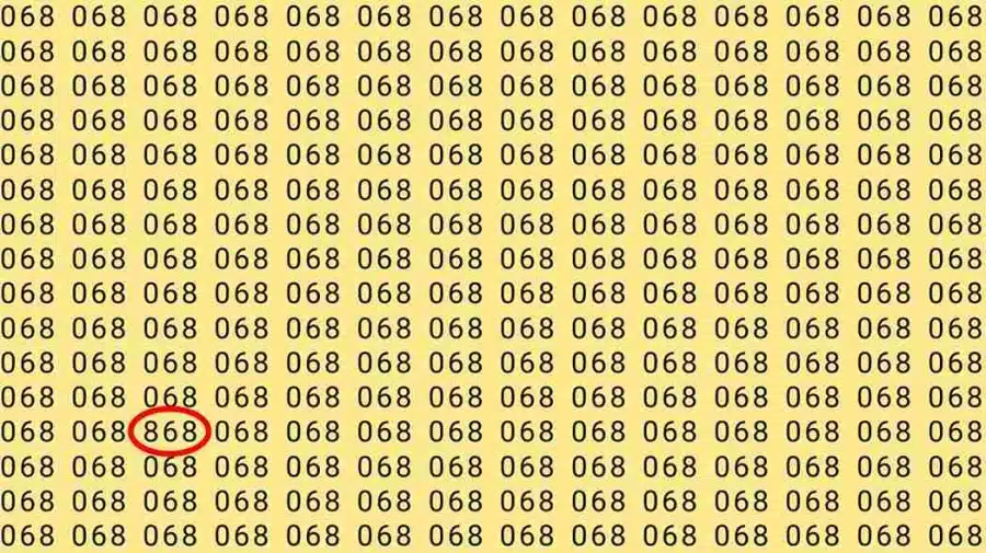 Illusione ottica: Se avete occhi acuti, riuscite a trovare il numero 868 in 068 in 7 secondi?