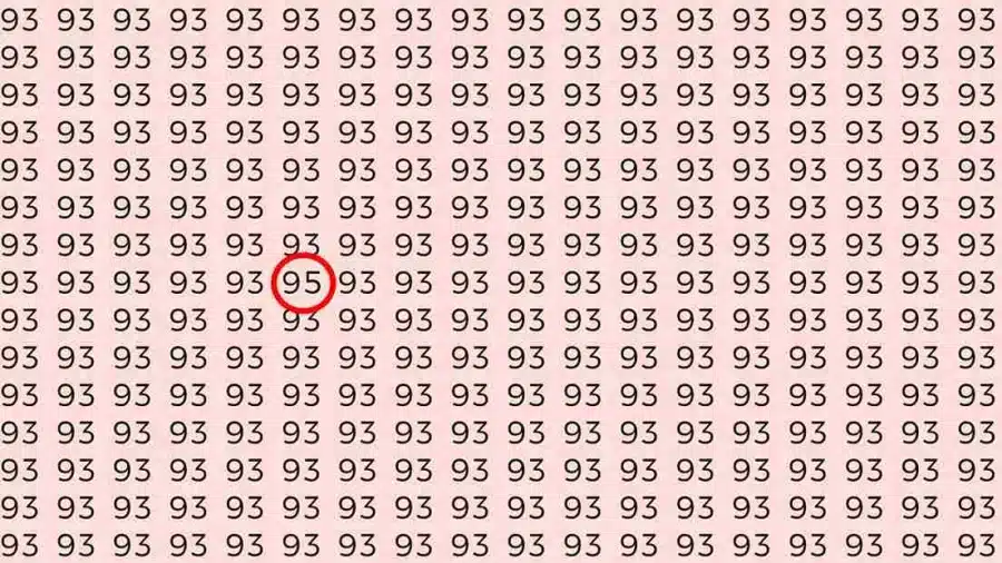 Test di illusione ottica: Se hai la vista acuta, riesci a trovare il numero 95 tra 93 in 8 secondi?