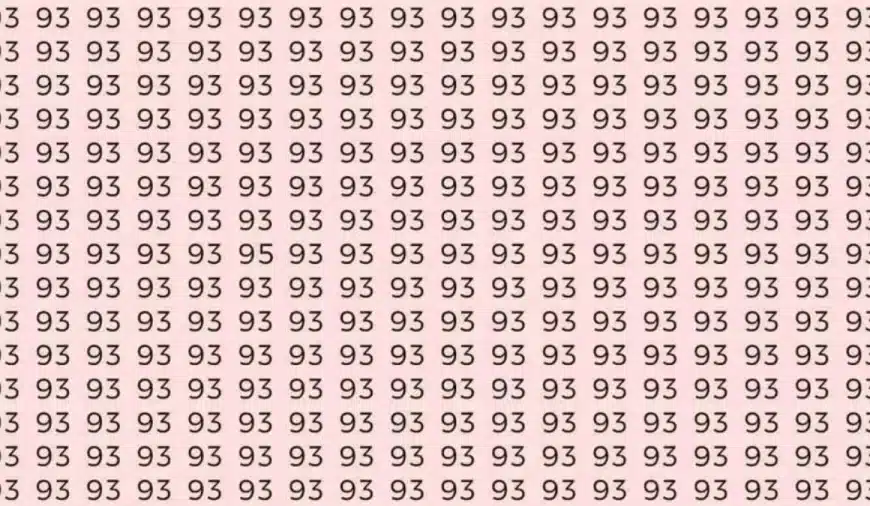 Test di illusione ottica: se hai gli occhi acuti trovi il numero 95 tra i 93 in 8 secondi?