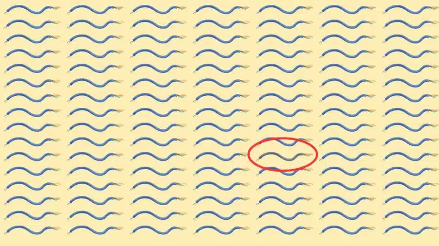 Test di illusione ottica del cervello: se hai gli occhi acuti, trova lo strano filo in 12 secondi