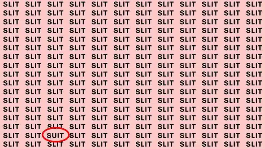 Test di capacità di osservazione: se hai gli occhi dell'aquila, trova la parola incastonata nella fenditura entro 5 secondi