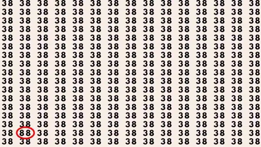 Test di illusione ottica: se hai occhi d'aquila, trovi 88 numeri su 38 in 7 secondi?
