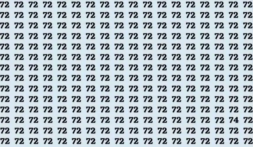 Test cerebrale di illusione ottica: se hai gli occhi acuti trova il numero 74 in 15 secondi