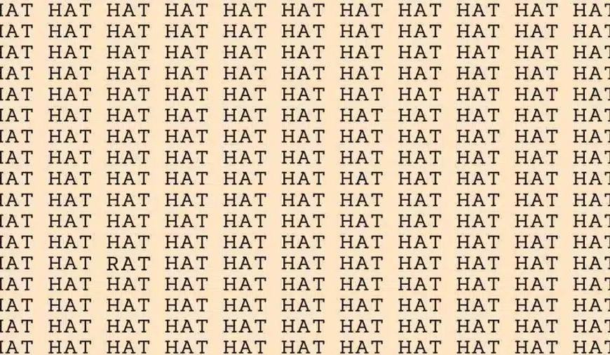 Test di capacità di osservazione: se avete gli occhi dell’aquila, trovate la parola ratto tra i cappelli in 10 secondi.