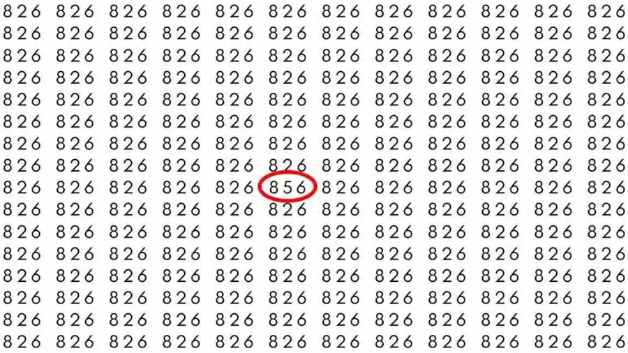 Test del cervello sull'illusione ottica: se avete occhi d'aquila, riuscite a trovare il numero 856 tra 826 in 9 secondi? Test di illusione ottica del cervello: se avete occhi d'aquila, riuscite a trovare il numero 856 tra 826 in 9 secondi?