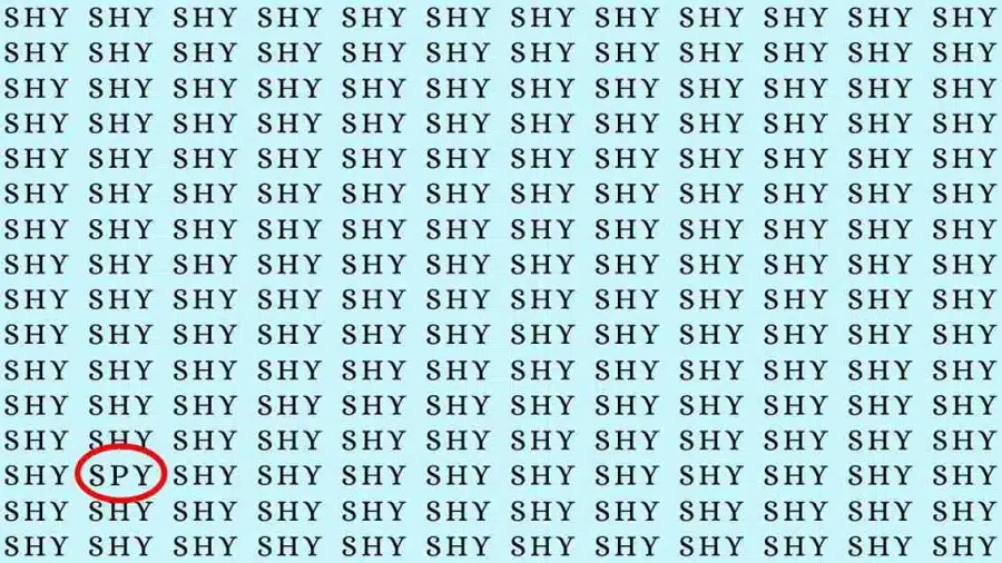 Test di illusione ottica: se hai l'occhio dell'aquila, trova la parola Spia in Timido in 06 secondi