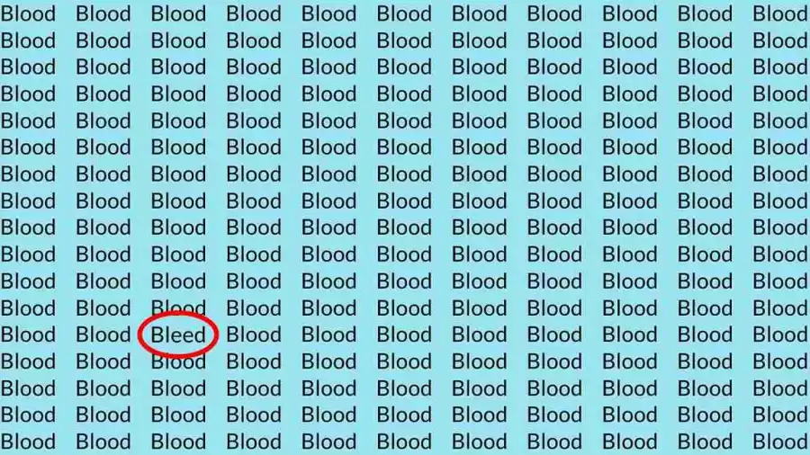 Test di illusione ottica: Se avessi occhi d'aquila, riusciresti a trovare le parole 