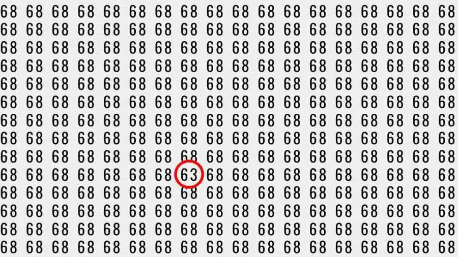 Test di illusione ottica: Se avete occhi d'aquila, riuscite a trovare il numero 63 tra 68 in 10 secondi?