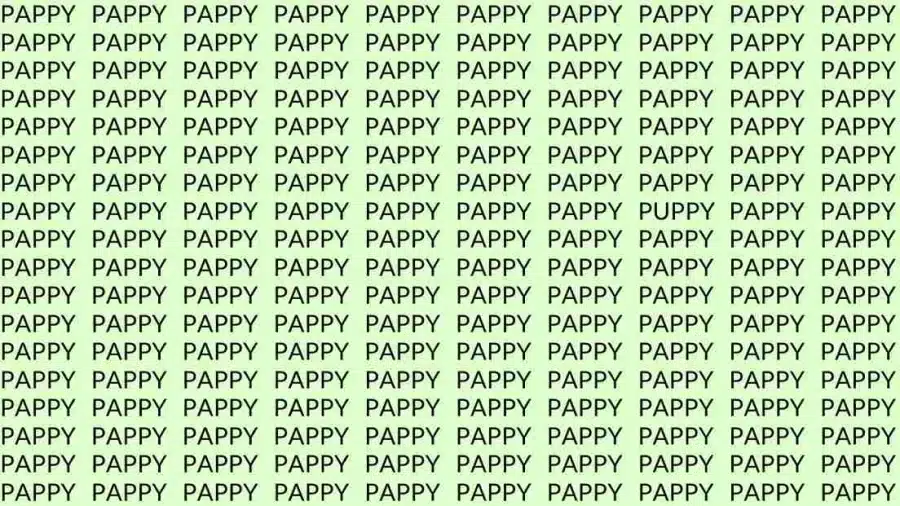 Test di osservazione: Se hai un occhio d'aquila, trova la parola Cucciolo in Pappy entro 12 secondi.