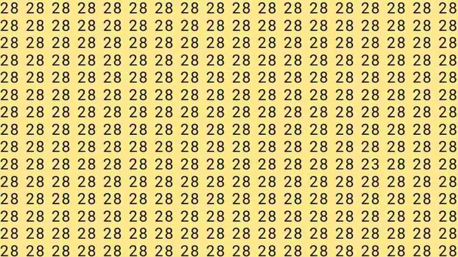 Test di illusione ottica del cervello: se avessi gli occhi di un'aquila, riusciresti a trovare 23 numeri su 28 in 7 secondi?
