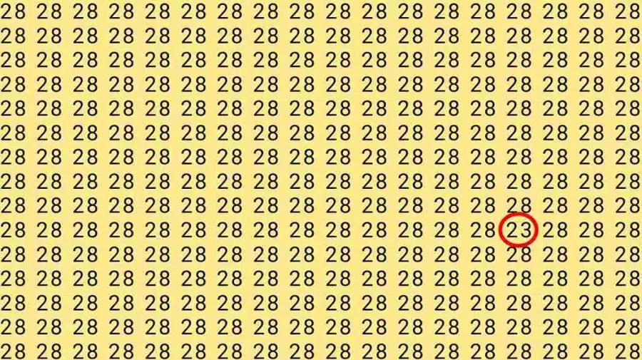 Test di illusione ottica del cervello: se avessi gli occhi di un'aquila, riusciresti a trovare 23 numeri su 28 in 7 secondi?