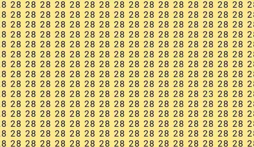 Test di illusione ottica del cervello: se avete gli occhi dell’aquila, trovate il numero 23 tra i 28 in 7 secondi?