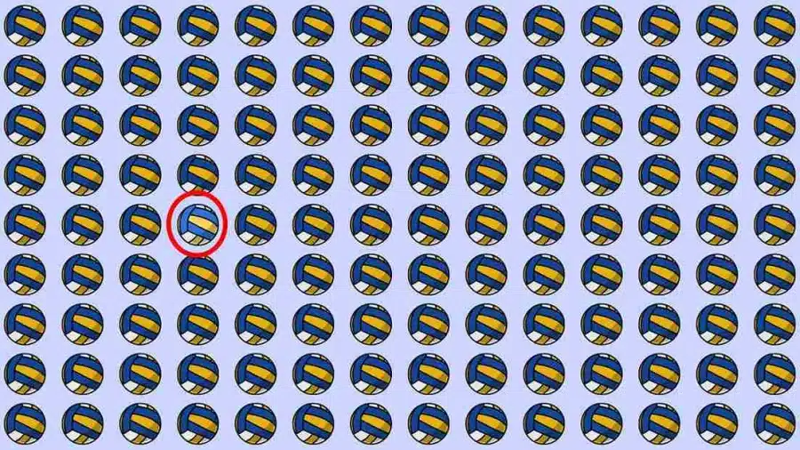 Test di osservazione: Se aveste occhi d'aquila, riuscireste a trovare la strana pallavolo in 12 secondi? Test di osservazione: Se avessi occhi d'aquila, riusciresti a trovare lo strano pallone da pallavolo in 12 secondi?